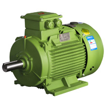 IE3 Asynchronous electric motor,induction motor