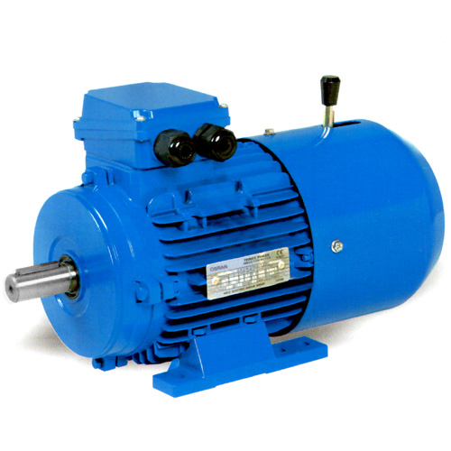 YEJ Brake motor,Braking motors,Three phase electric motor,AC induction motor